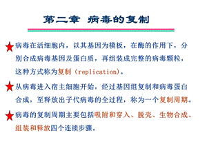 病毒的复制ppt课件.ppt