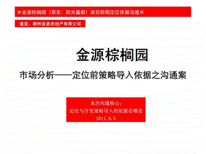 郴州金源棕榈园市场分析定位前策略导入依据沟通.ppt