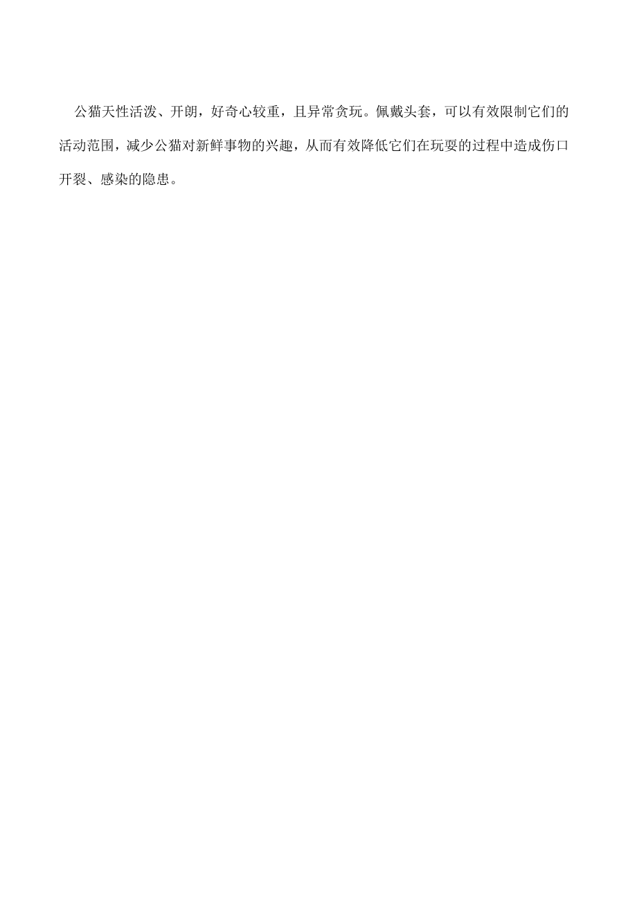 公猫绝育几天后取头套.docx_第2页