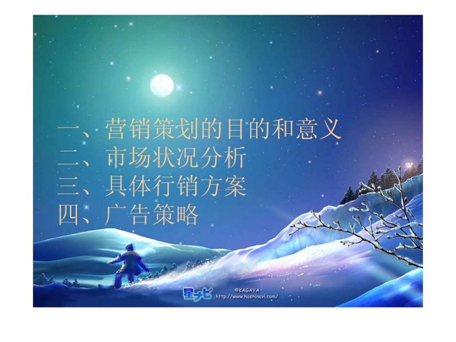 bluegenius手机营销策划案例.ppt_第3页