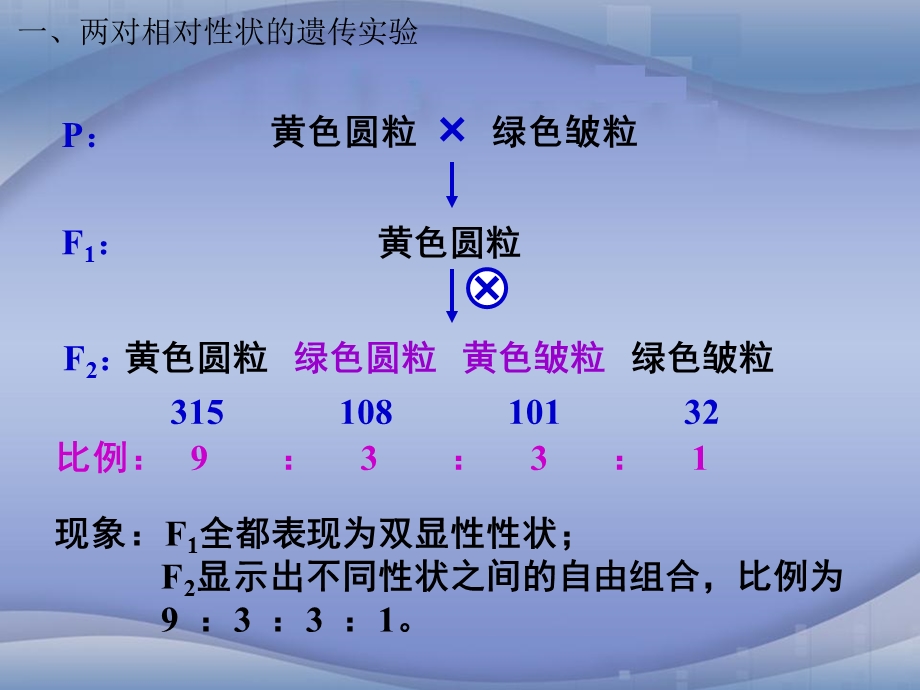 基因分离定律的实质.ppt_第3页