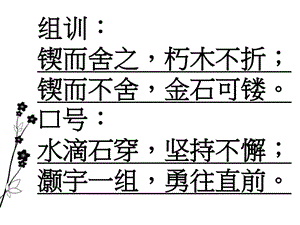 初中班级文化图文.ppt.ppt