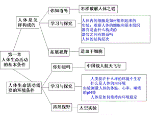 人体生命活动.ppt