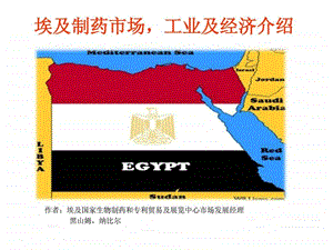 埃及制药市场工业及经济介绍纺织轻工业工程科技专业资料.ppt.ppt