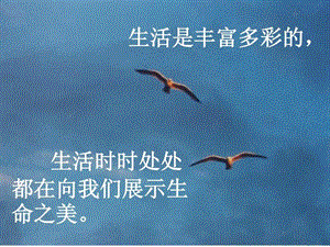 海燕PPT课件.ppt