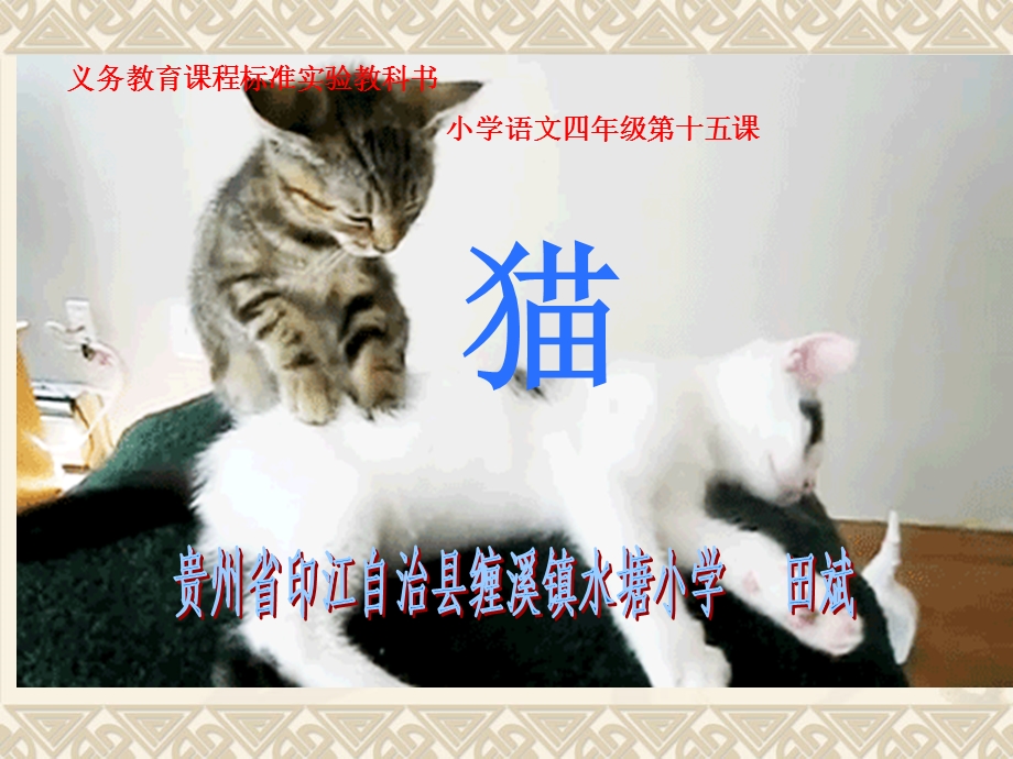 竞赛《猫》教学课件.ppt_第1页