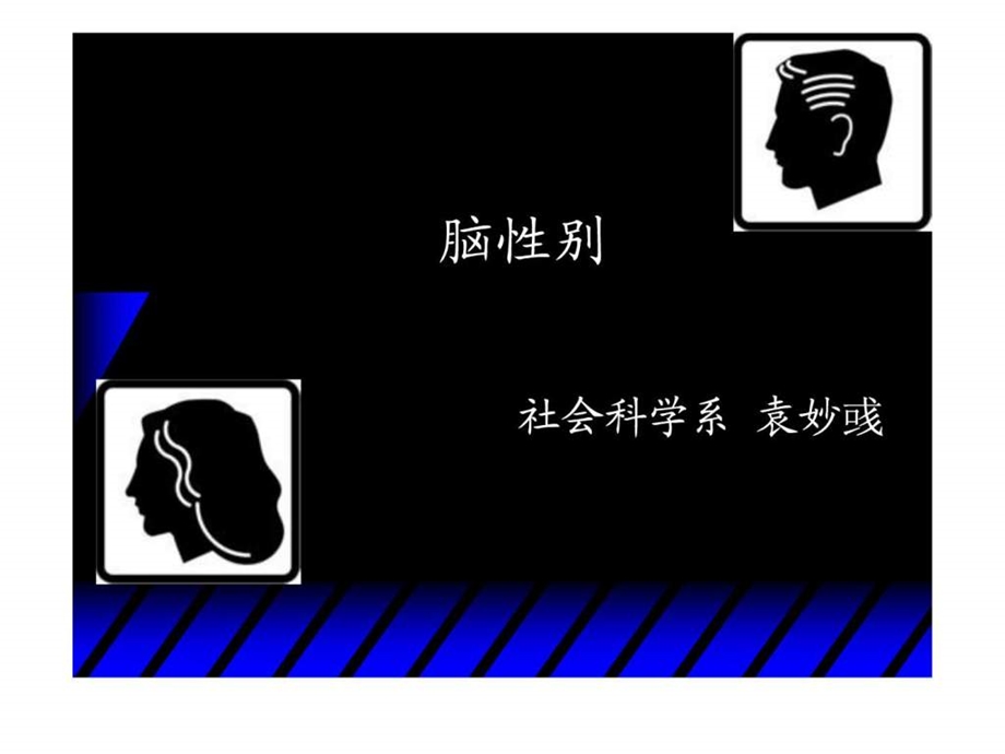 女性职业生涯规划课件.ppt_第1页