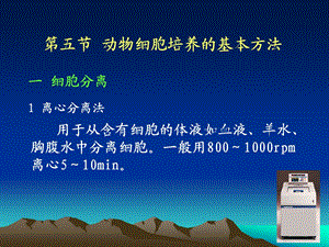 动物细胞培养的基本方法.ppt