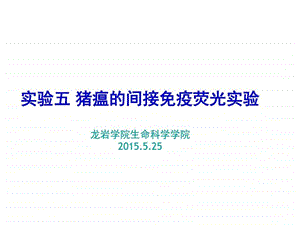 猪瘟的间接免疫荧光实验畜牧兽医农林牧渔专业资料.ppt.ppt