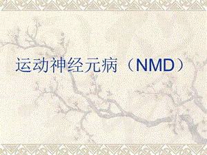 运动神经元病NMD.ppt