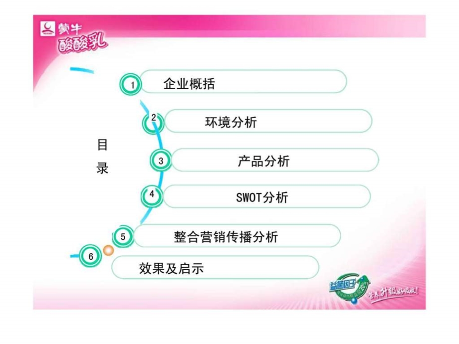 蒙牛酸酸乳整合营销传播策略.ppt_第2页