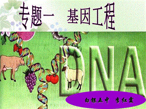 选修三11《DNA重组技术的基本工具》.ppt