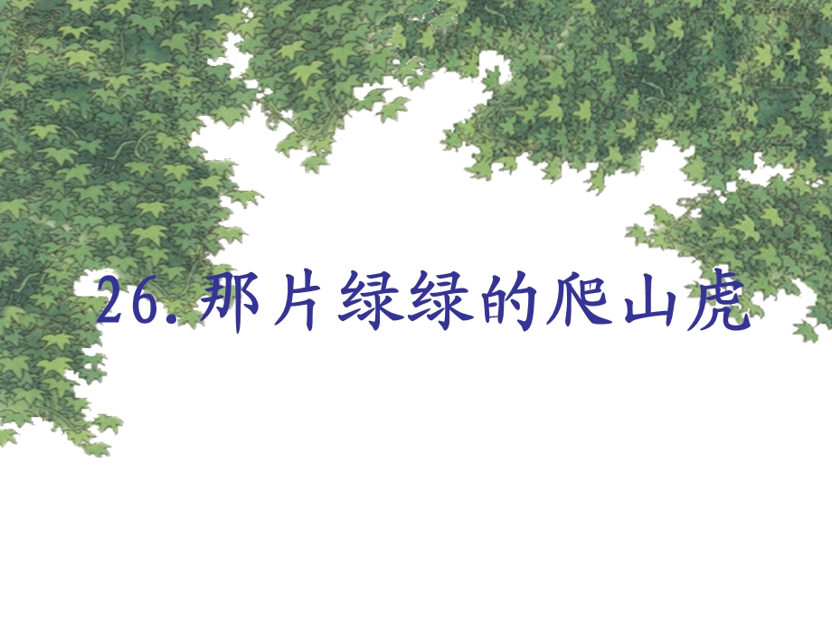 那片绿绿的爬山虎8.ppt_第1页