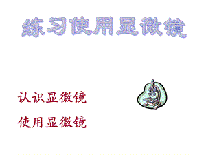 第二单元第一节练习使用显微镜使用显微镜共55张PPT精品教育.ppt