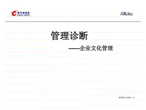 北新华锦集团战略咨询报告管理诊断企业文化管理.ppt