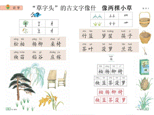 苏教版二年级语文下册《识字3》PPT课件.ppt