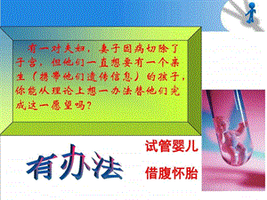 第一节胚胎工程的理论基础图文.ppt.ppt