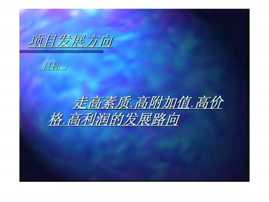 广州伟霆房产项目策划建议.ppt_第2页