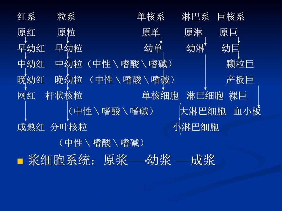 正常血液细胞形态学图文.ppt.ppt_第2页