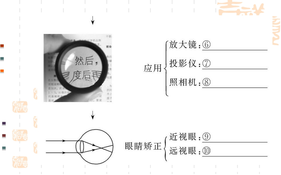 第五章复习叶公中学安艳芳精品教育.ppt_第3页