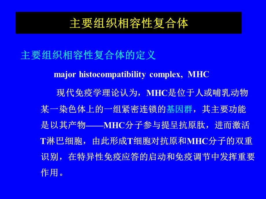 免疫分子3MHC.ppt_第1页