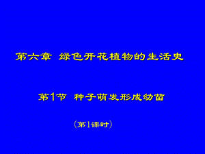 种子萌发形成幼苗课件.ppt