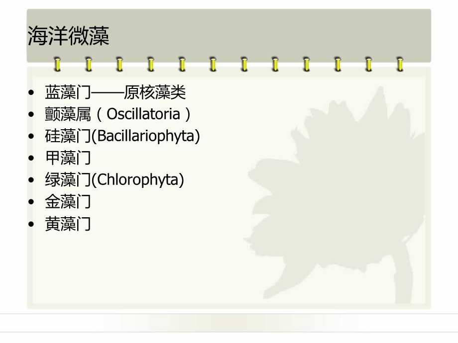 海洋微藻的分类.ppt_第2页