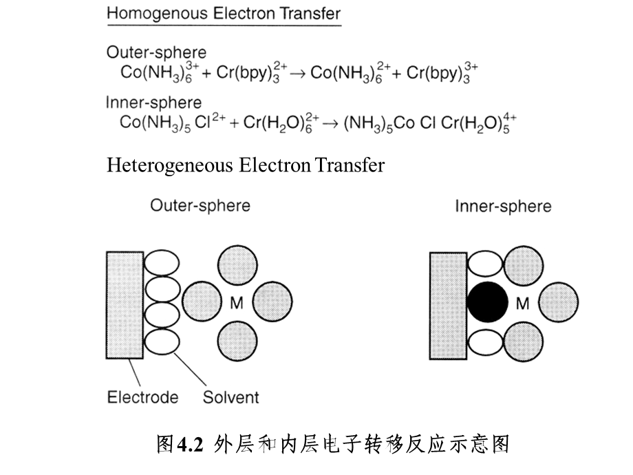 elect20053.ppt_第1页