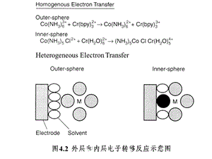 elect20053.ppt