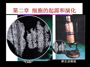 进化生物学2章细胞的起源和演化.ppt