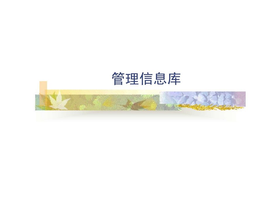 管理信息库.ppt_第1页