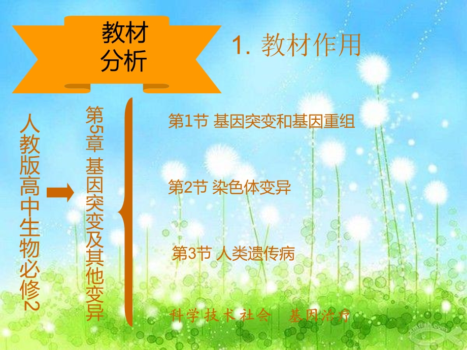 基因突变和基因重组说课.ppt_第3页