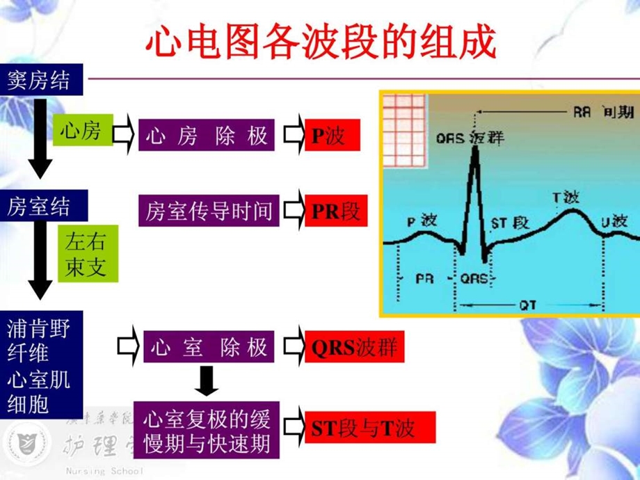 心率失常的护理.ppt_第3页