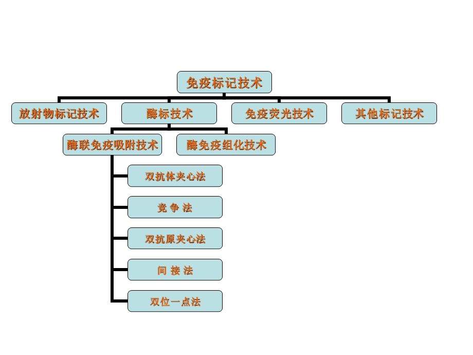 3免疫标记技术.ppt_第3页