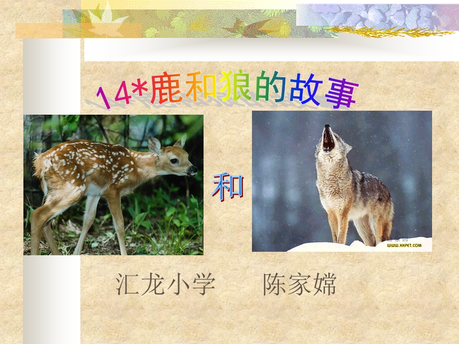 鹿和狼的故事(陈家嫦）.ppt_第1页