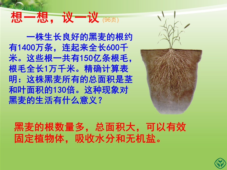 第二节植株的生长.(课件)精品教育.ppt_第2页