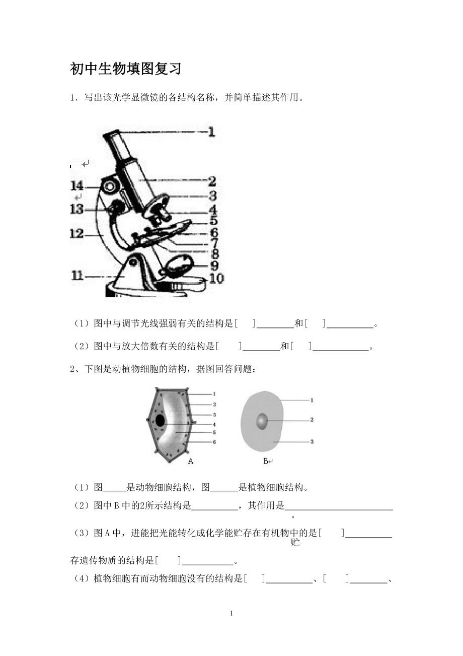 初中生物填图复习.doc_第1页