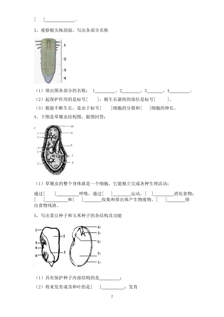 初中生物填图复习.doc_第2页