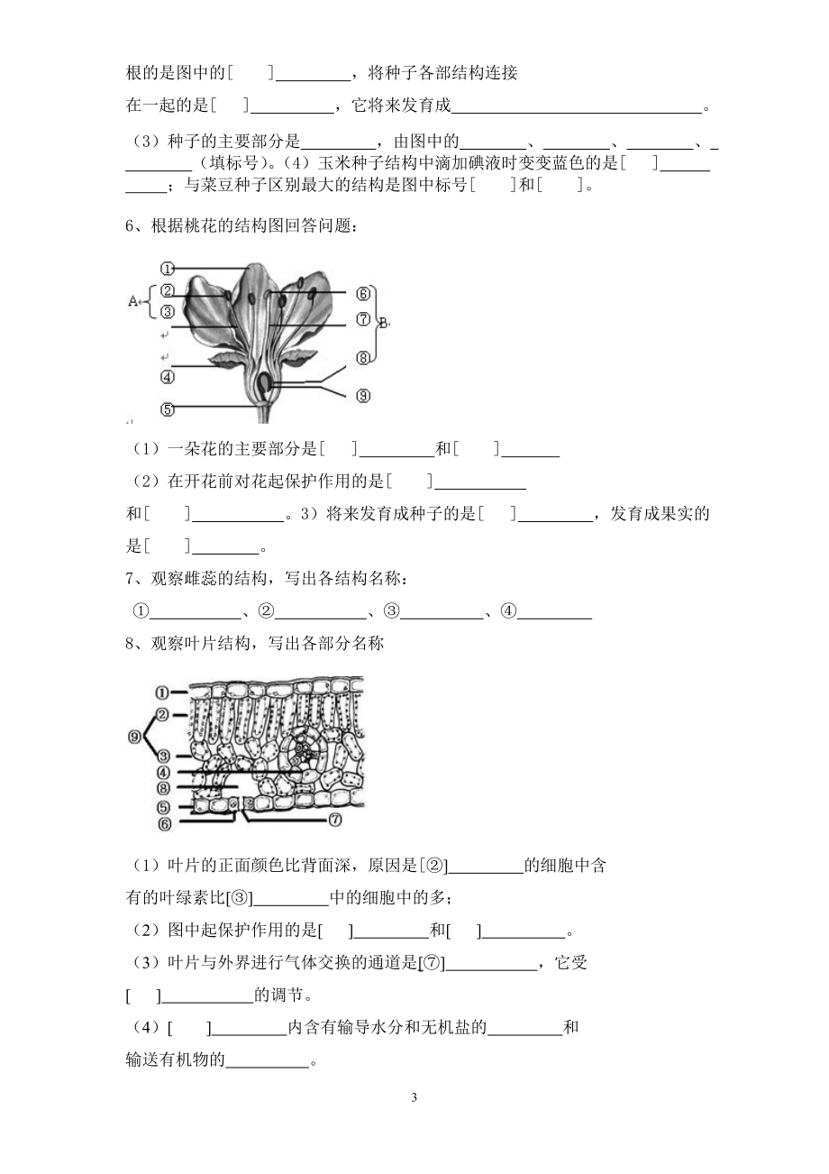 初中生物填图复习.doc_第3页