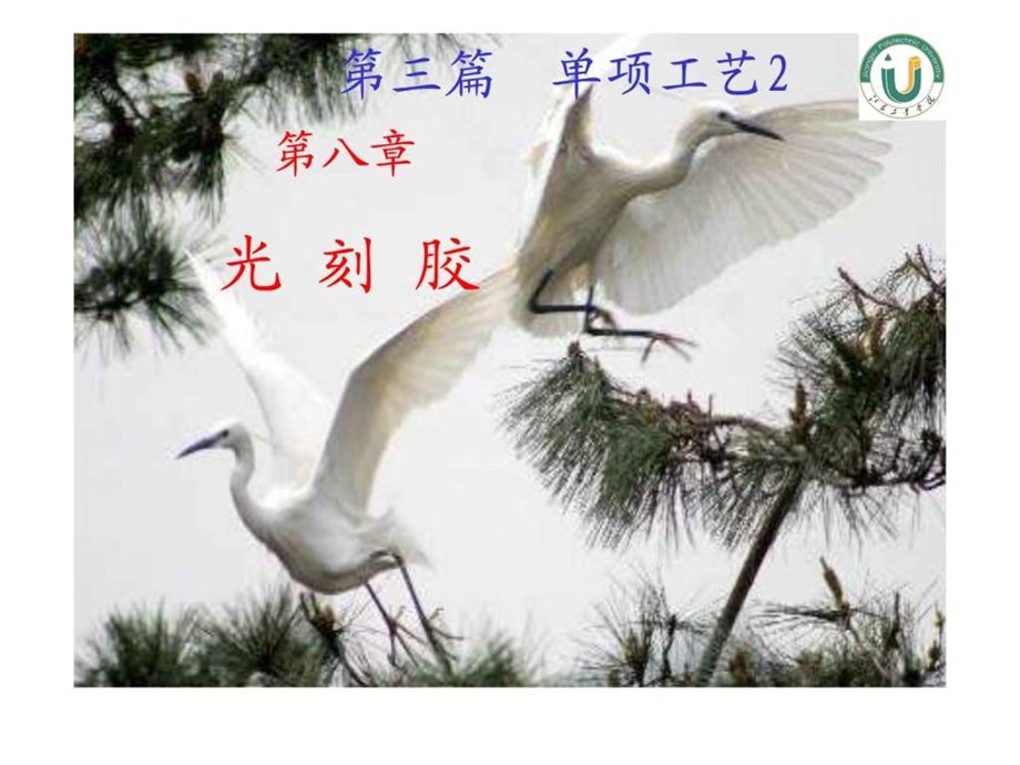 第3篇第八章光刻胶图文.ppt.ppt_第2页