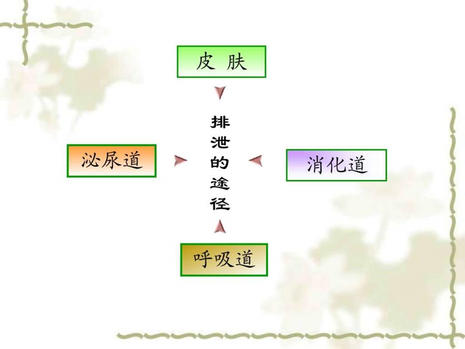 排泄的护理图文.ppt_第2页