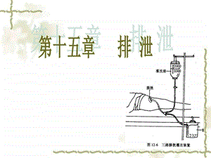 排泄的护理图文.ppt