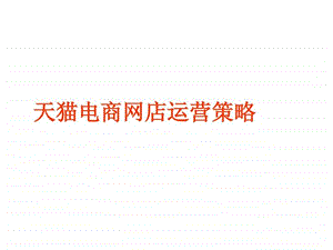 天猫电商网店运营策略终稿.ppt.ppt