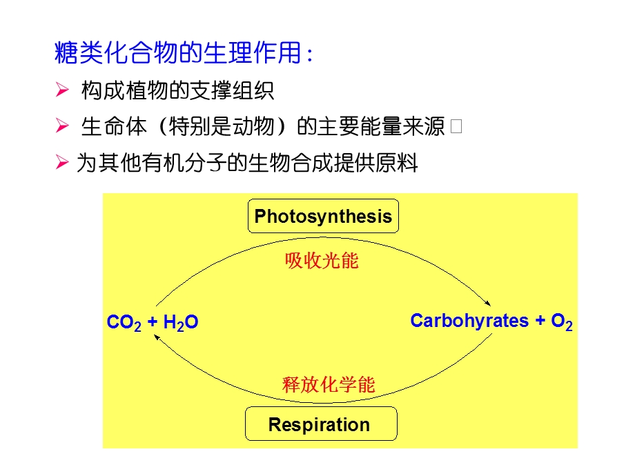 第十七章碳水化合物.ppt_第3页