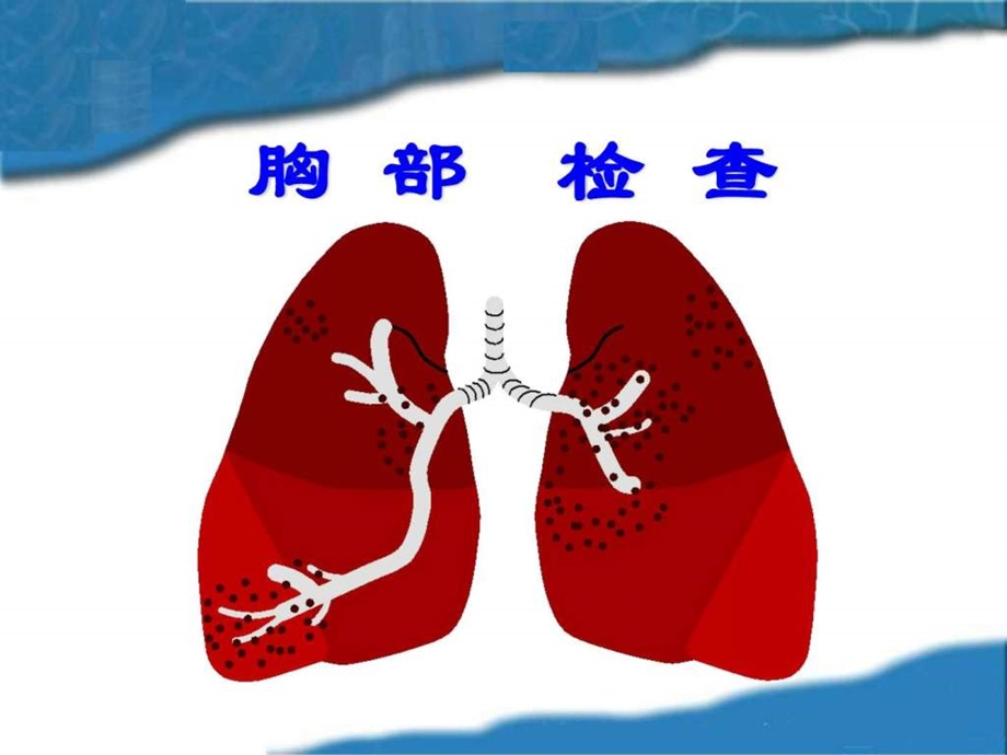 胸部体表标志生产经营管理经管营销专业资料.ppt.ppt_第1页