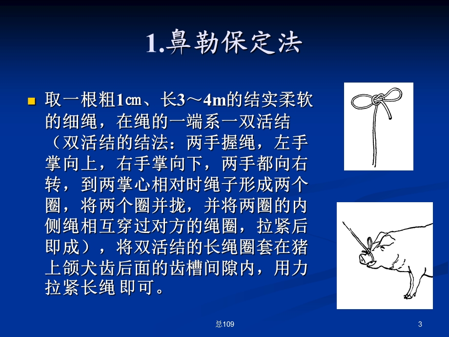 第5章猪的针灸.ppt_第3页