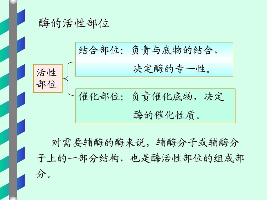 酶4研演示文稿图文.ppt.ppt_第3页