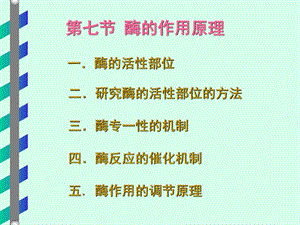 酶4研演示文稿图文.ppt.ppt