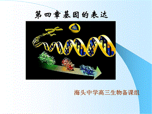 人教版教学课件基因指导蛋白质合成复习课件.ppt