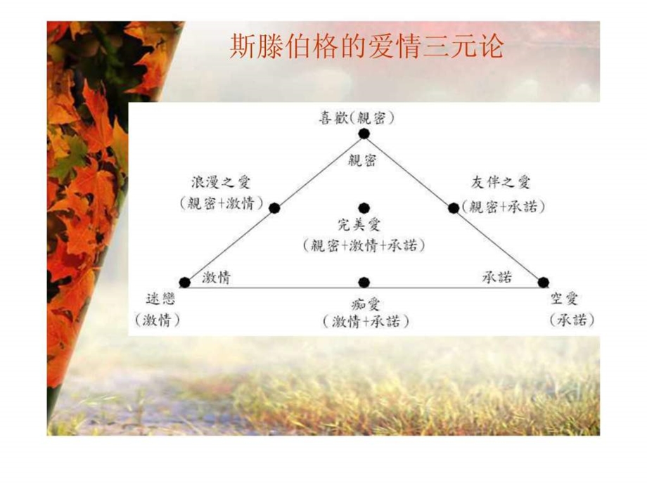 大学生心理健康教育第7章探索爱情真谛促进自我成长.ppt.ppt_第3页